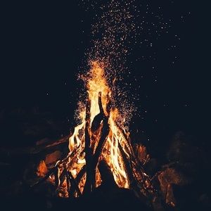 Meet your Posher, Hayden